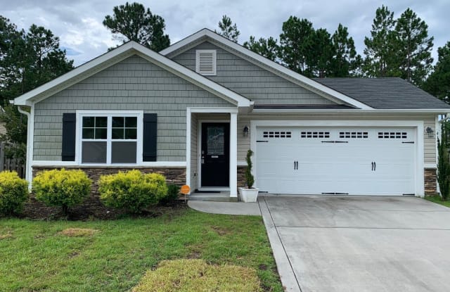 415 Blue Pennant Court - 415 Blue Pennant Court, Onslow County, NC 28445