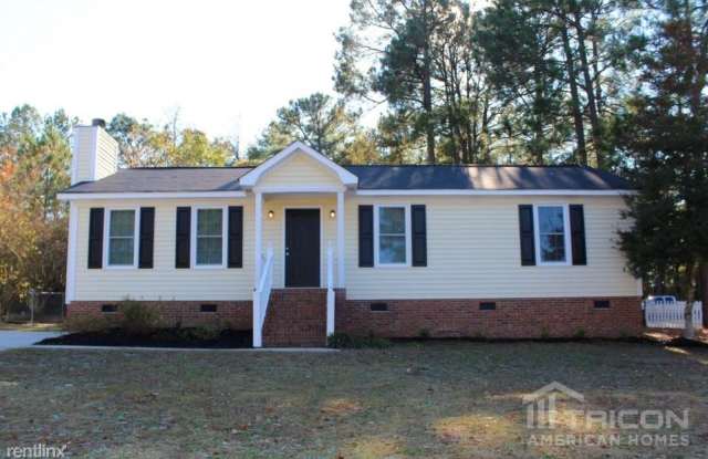 113 Green Springs Court - 113 Green Springs Ct, Richland County, SC 29223