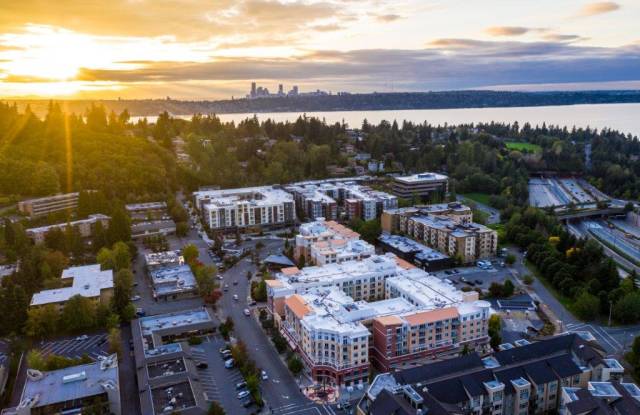 The Mercer Luxury Apartment Homes