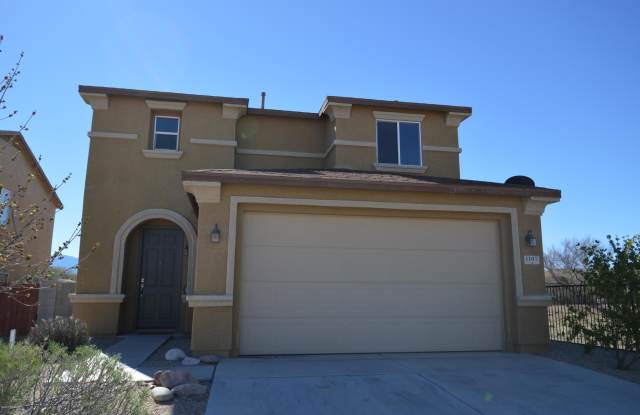 1107 W Calle Vista De Suenos