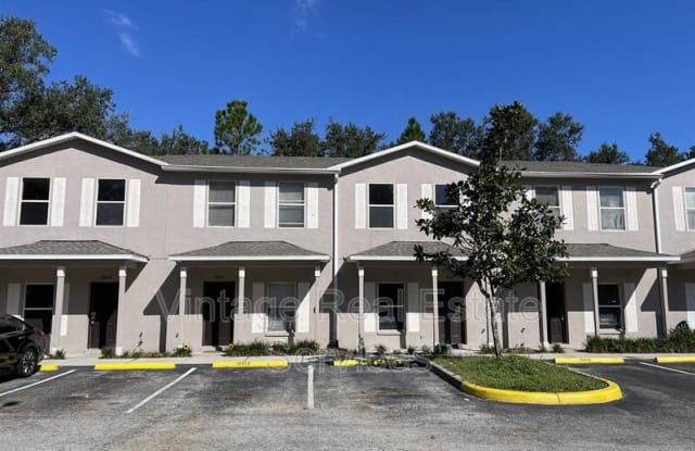 12014 Peach Grove Court - 12014 Peach Grove Court, Mango, FL 33584