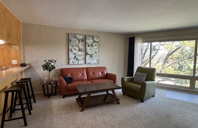 5712 Baltimore Drive #480 - 1