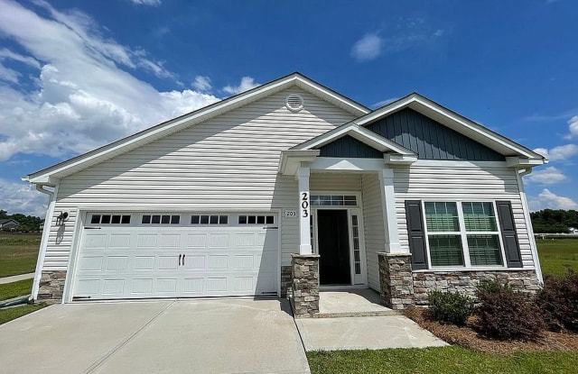 203 Mineral Springs Lane - 203 Mineral Springs Lane, Harnett County, NC 27526