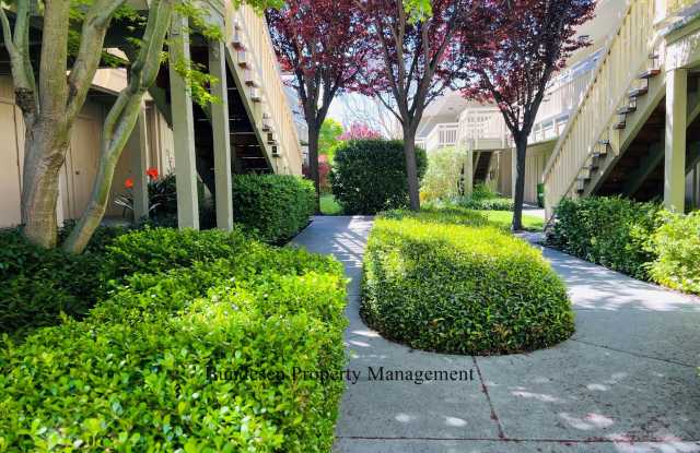 55 and over Diamond Head Community ~ 720 Petaluma Boulevard South #10