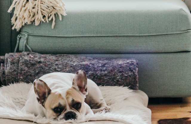 Franklin Tower Residences