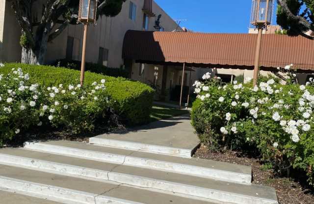 Amber Court