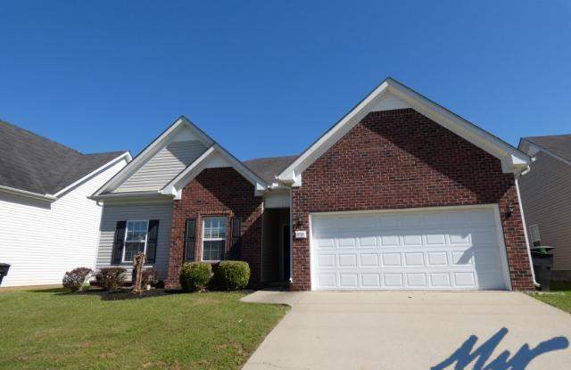 3730 Chipara Dr. - 3730 Chipara Drive, Murfreesboro, TN 37128