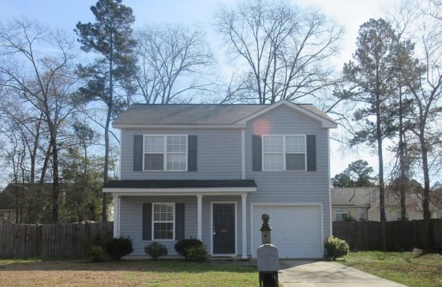 404 N Royal Fern Lane - 404 North Royal Fern Court, Richland County, SC 29203