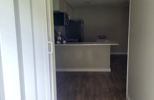 1302 Ariana Woods Circle