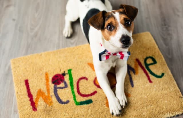 Arden Villa Sacramento Ca Apartments For Rent