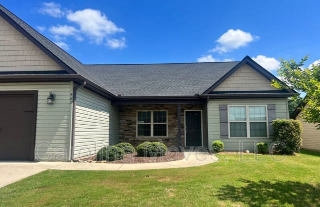 462 Peaksview Drive - 462 Peaksview Drive, Greenville County, SC 29681