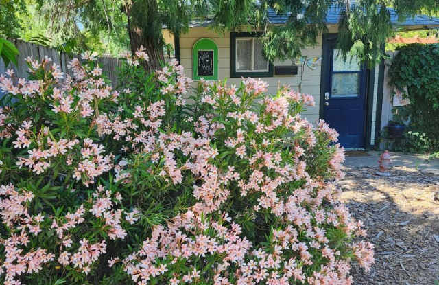 Charming 1BR Condo in Carmichael