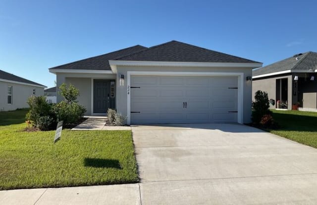 224 Cascara Lane - 224 Cascara Ln, Polk County, FL 33823