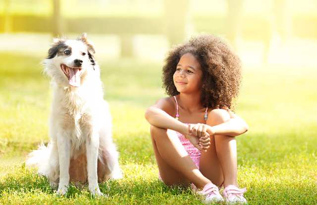 Eclipse 96 Apartments