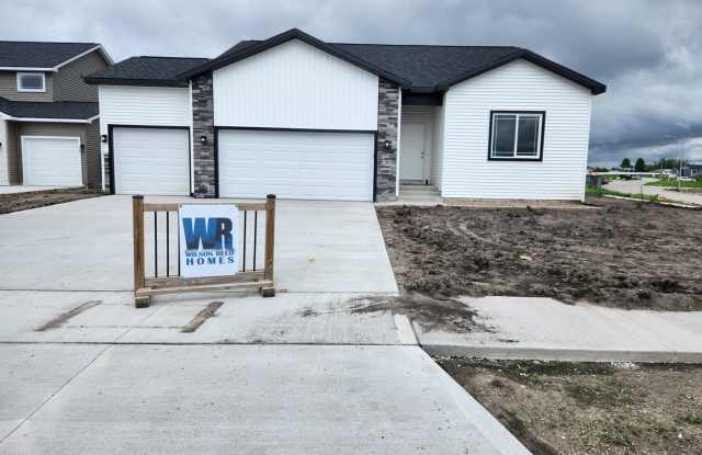 New construction 4 bedroom 3 bathroom Finished basement Ranch home - 285 Northwest Morgan Court, Waukee, IA 50263