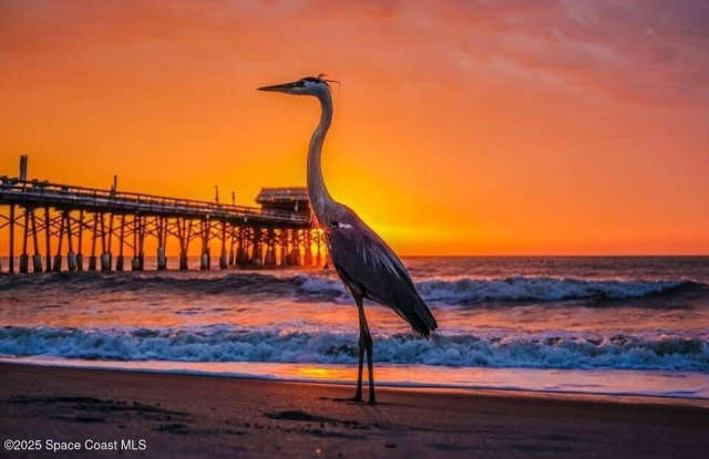 299 Chandler Street unit: #F