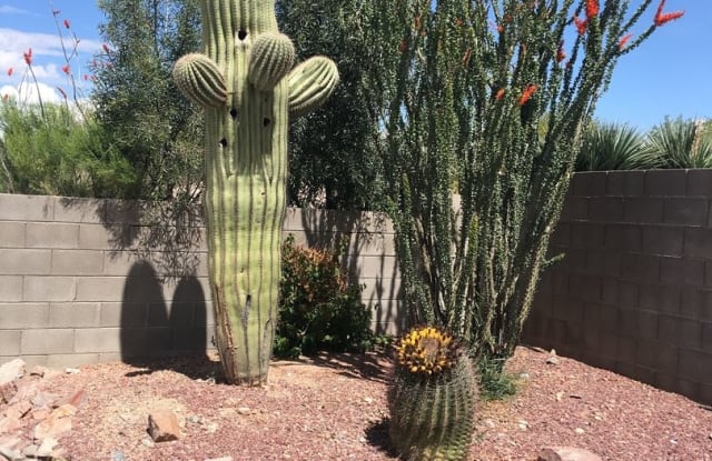 10185 E Desert Mesa Dr - 10185 Desert Mesa Drive, Tucson, AZ 85747