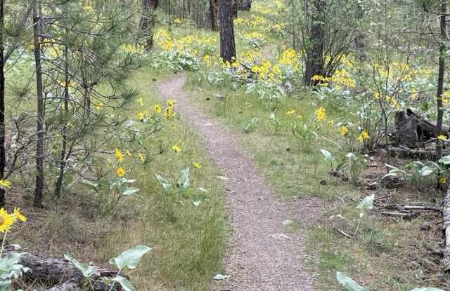 Photo of 4925 South Kip Lane