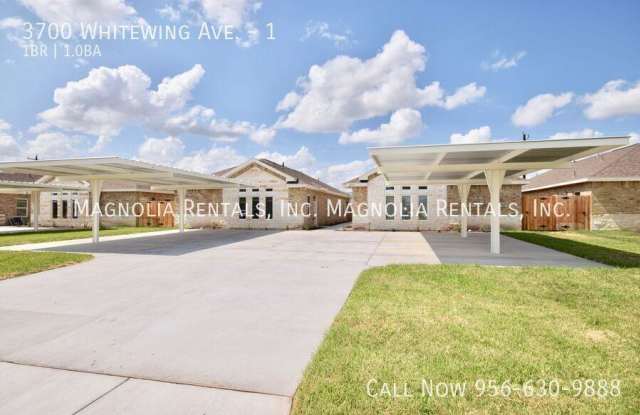 3700 Whitewing Ave