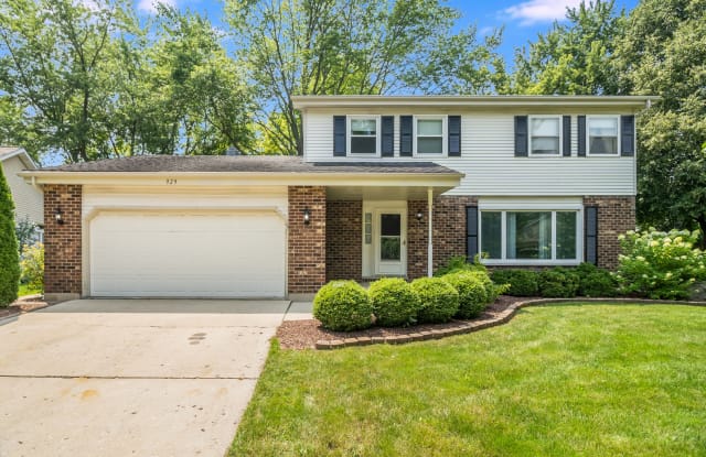 929 Manchester Street - 929 Manchester Street, Naperville, IL 60563