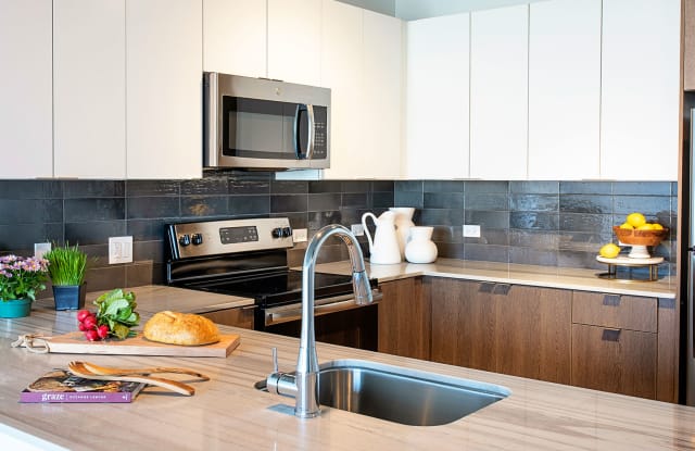 aspire residences chicago il apartments for rent
