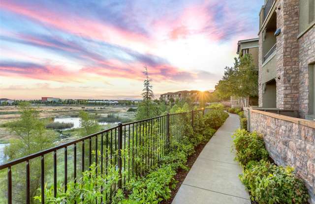 Montessa at Whitney Ranch