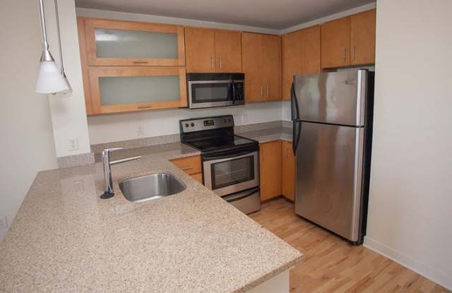 242 East Water Street Suite 119