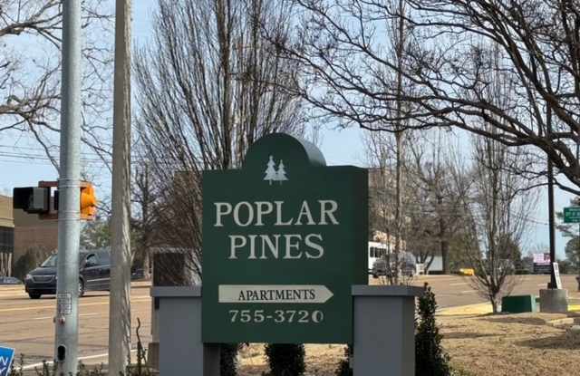 Poplar Pines