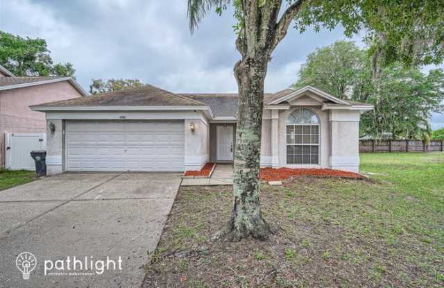 4706 Stove Place - 4706 Stove Place, Bloomingdale, FL 33596