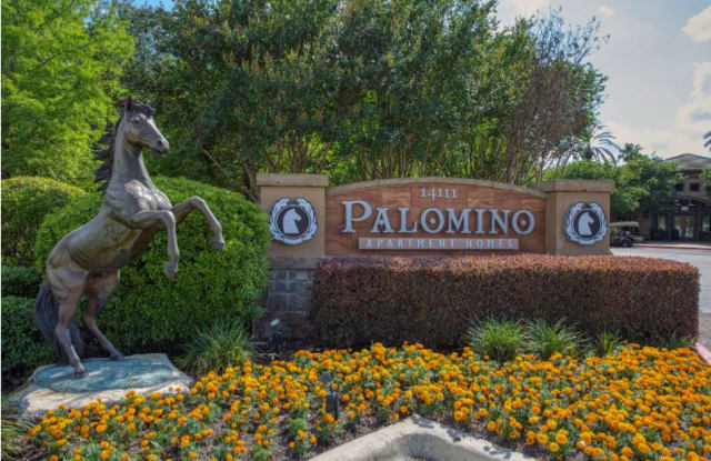 Photo of Palomino