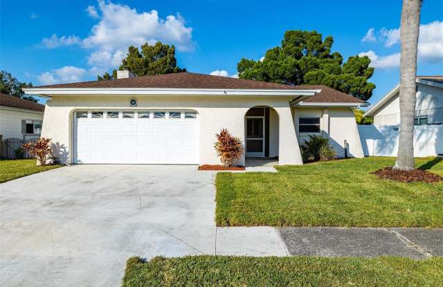 4837 CYPRESS TREE DRIVE - 4837 Cypress Tree Drive, Carrollwood, FL 33624