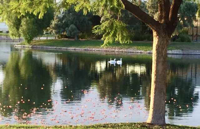 2644 W Desert Cove Avenue