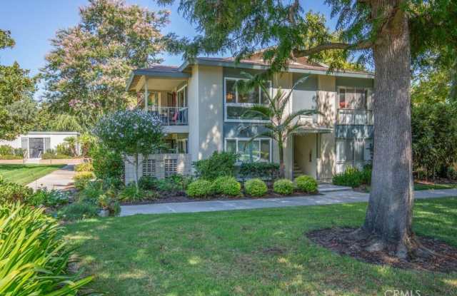 Photo of 69 Calle Aragon