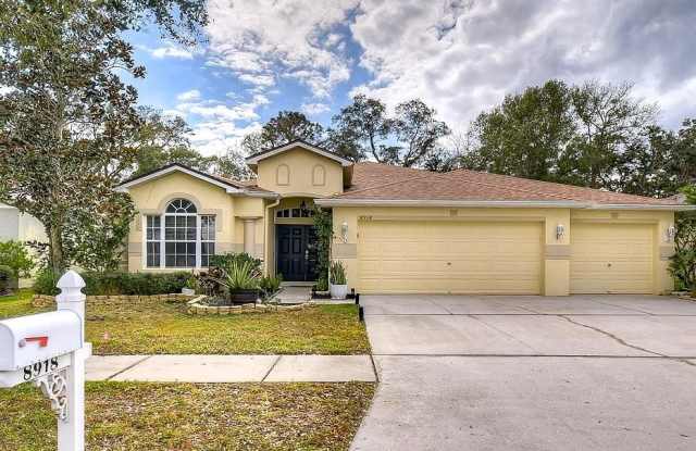 8918 N River Rd - 8918 North River Road, Town 'n' Country, FL 33635