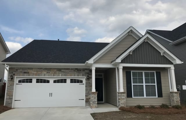 134 Jeremiah Road - 134 Jaremiah Road, Lexington County, SC 29072