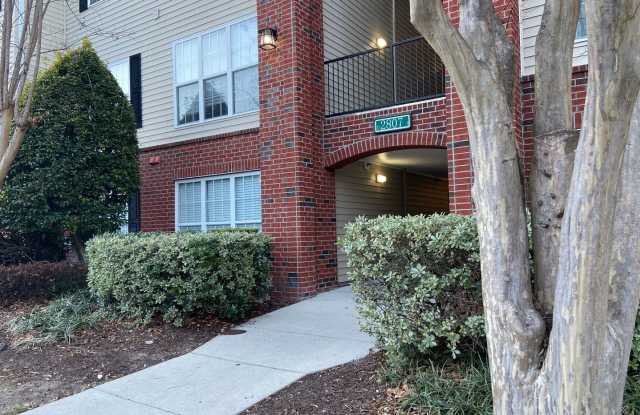 Bellingham Park Beauty