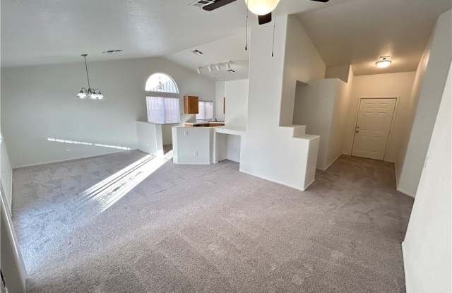 539 Scenic Terra Drive