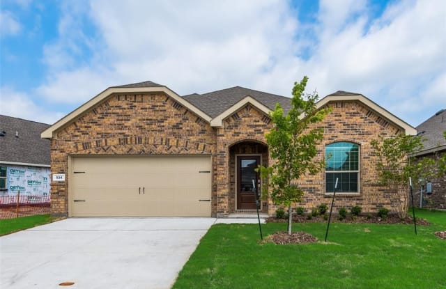 534 Robinson Way - 534 Robinson Way, Fate, TX 75189