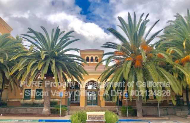 1310 Saddle Rack St.