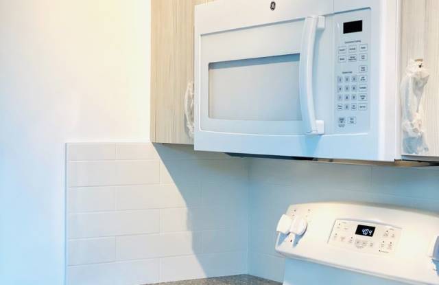 Newly Renovated Community Invigorating Miami's Downtown Urban Core!