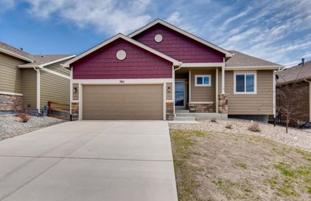 785 Tailings Drive - 785 Tailings Drive, Monument, CO 80132