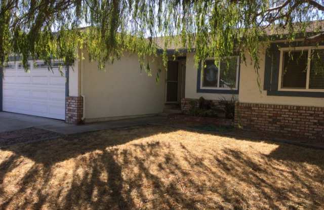 Beautiful 3 Bedroom 2 Bath w/ Large Fenced in Backyard