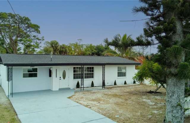 Photo of 985 LIBERTY STREET