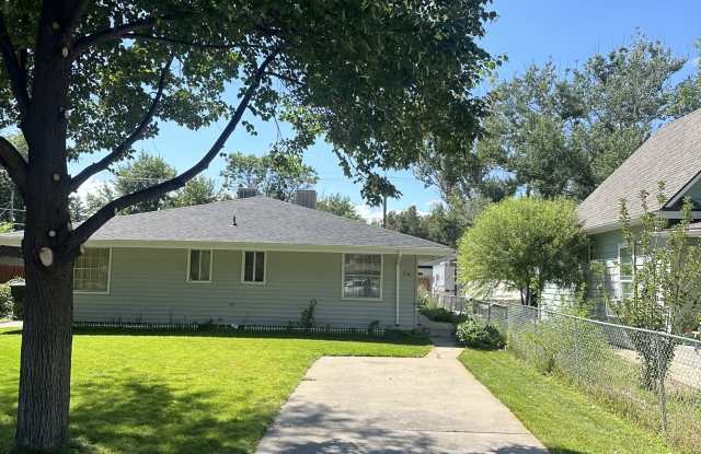 518 Carson Street - 1