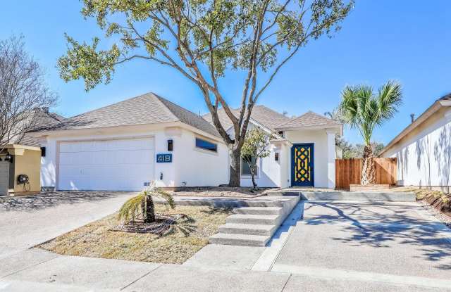 418 Cinnamon Teal Lp