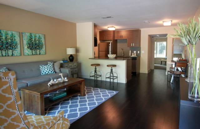 The Collection Lady Bird Lake