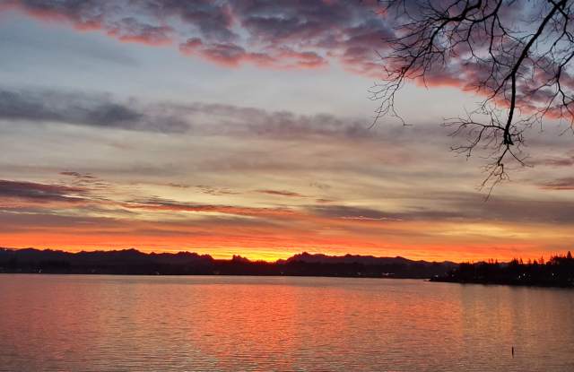 1611 Vernon Road Unit B