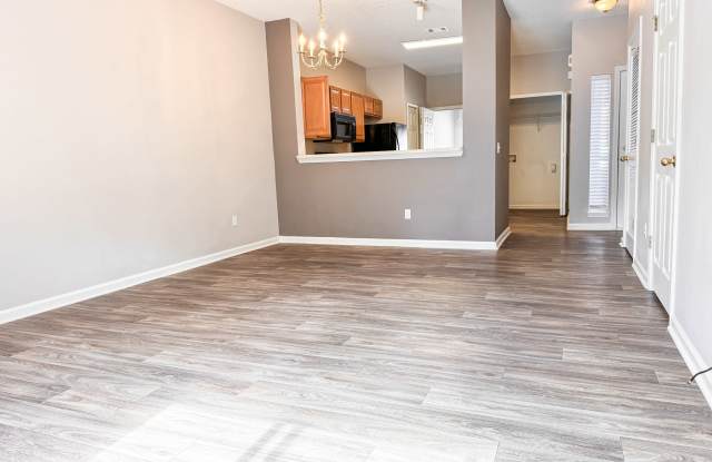 518 Scrub Jay Drive - 1