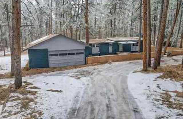 6530 Burrows Rd - 6530 Burrows Road, Black Forest, CO 80908