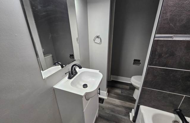 Newly updated 2 bedroom 1 bsth apartment in Mt Washington!